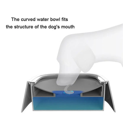 Floating Dog Drinking Water Bowls