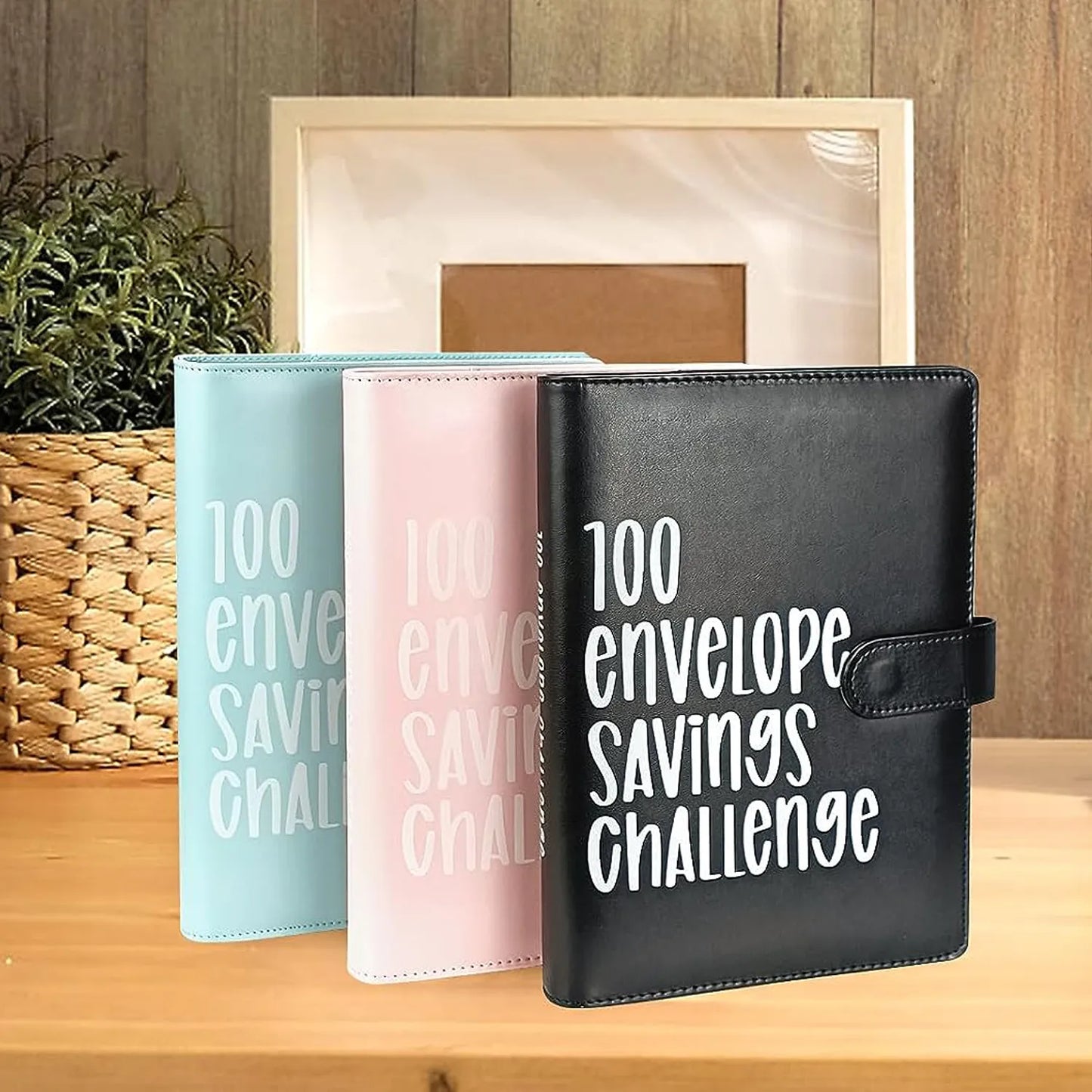 100 Envelope Challenge Binder